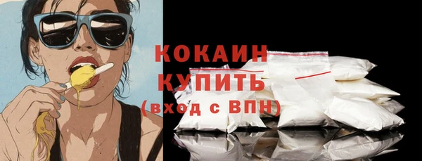 индика Ачинск