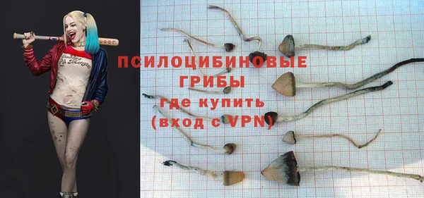 mdpv Баксан