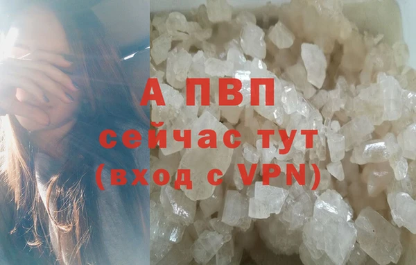 гидра Артём