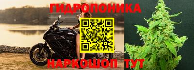 крисы Волгодонск