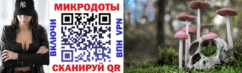 наркотики Джанкой Псилоцибиновые грибы мицелий