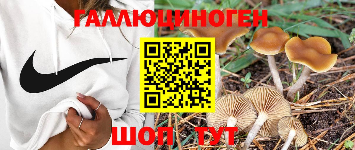Джанкой  Псилоцибиновые грибы мухоморы  Вход с VPN 